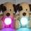 Playette Puppy Starlight Buddy Lullaby Night Light