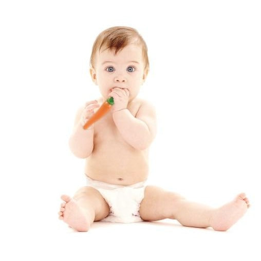 Playette Curvy Carrot Infant Training Teether And Toothbrush